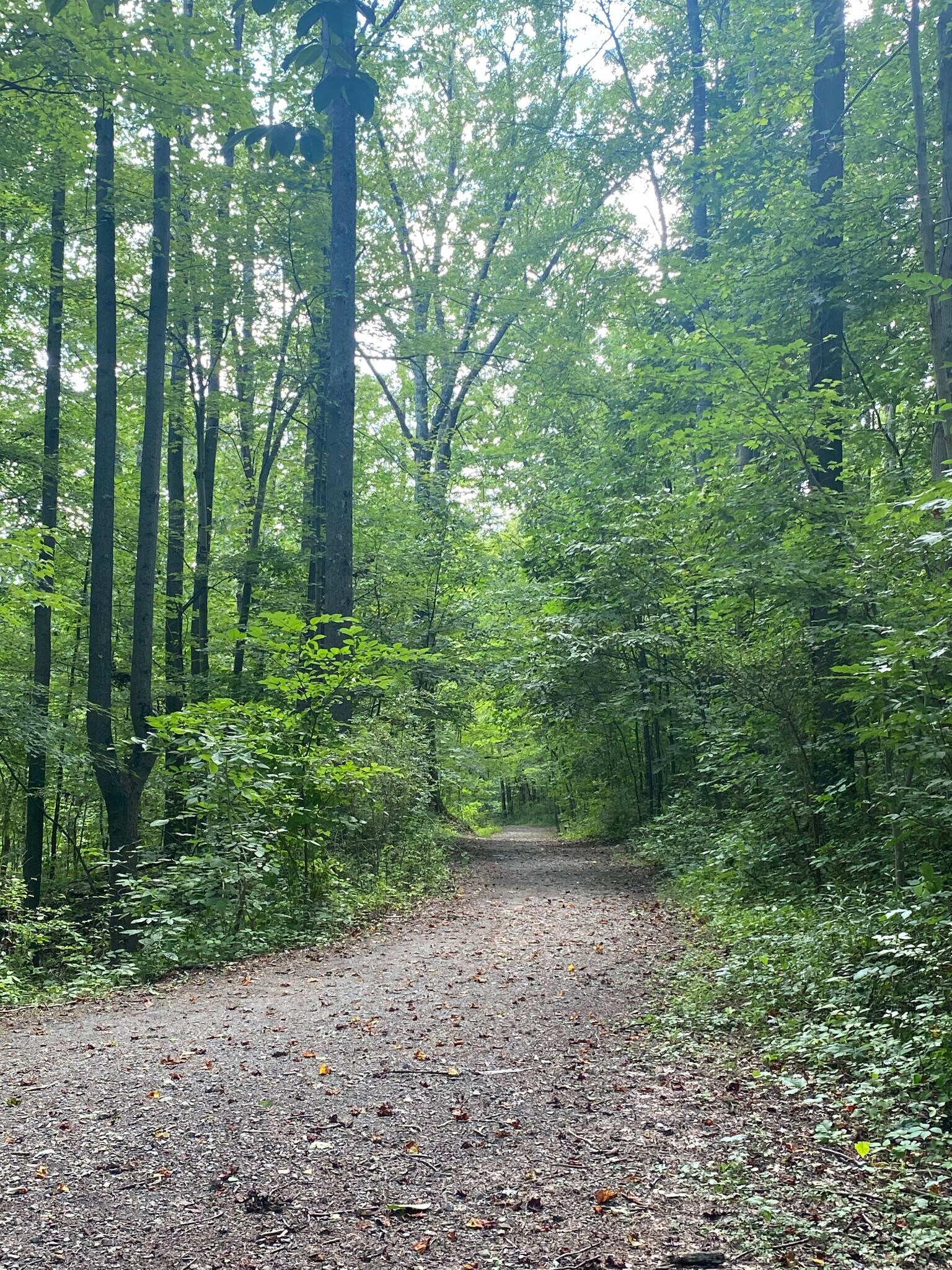 Walking/ running trails within 5 block - 817 Elysian Ave