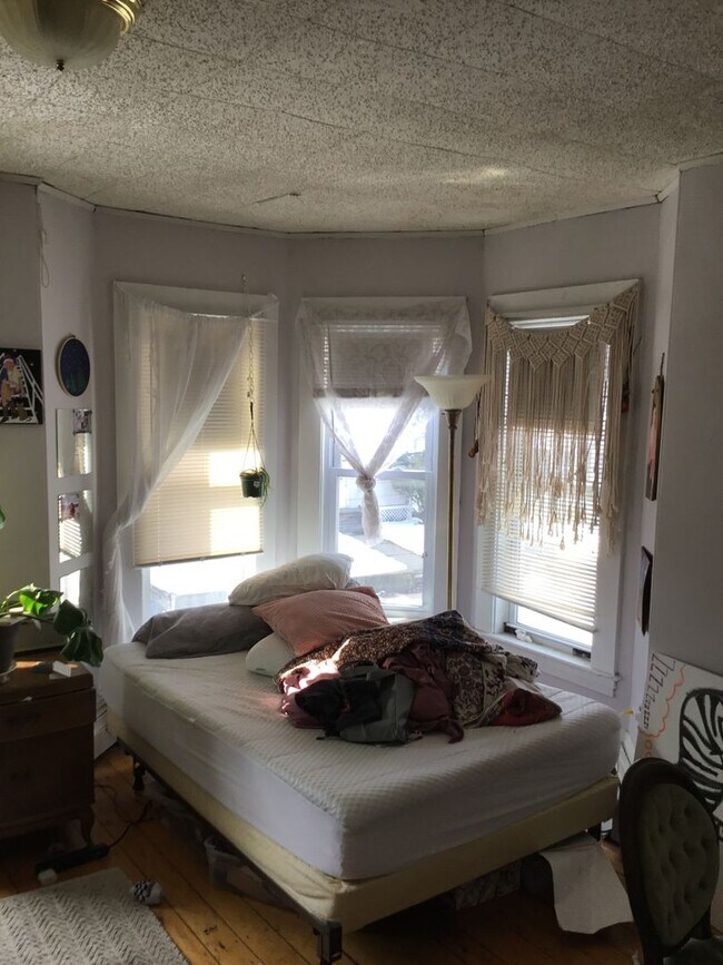 Building Photo - No Fee on Massive Apt in Packards Corner Near BU!  Pro Managed, XL Rooms, and Parking for rent!