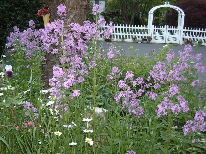 Building Photo - 170 Mill Plain Rd