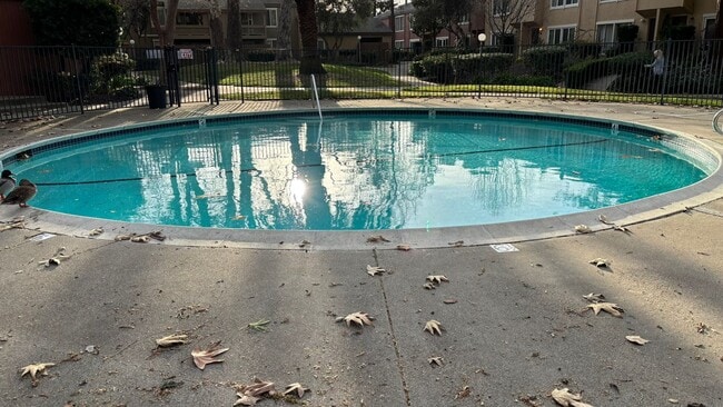 Building Photo - Spacious 2 bed/2 bath condo in Concord