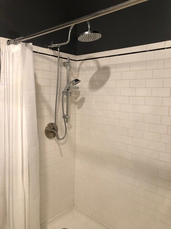 Rain head shower - 476 Waldo St SE