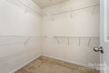 Building Photo - 7007 Advocator Ln