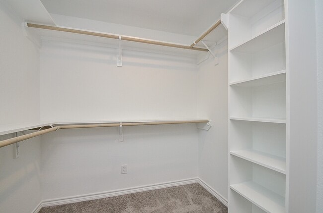 Primary Photo - 12943 Andromeda Ct