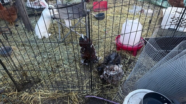 Building Photo - 33244 Churchill St