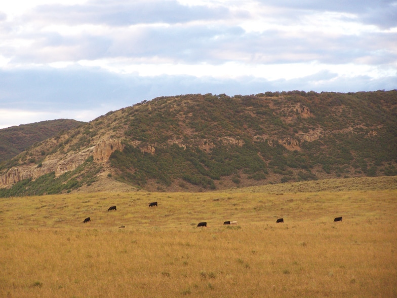 Building Photo - 39021 Holly Ln