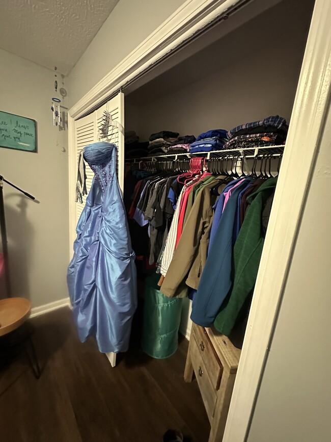 Basement bedroom closet - 250 Parktrail Rd