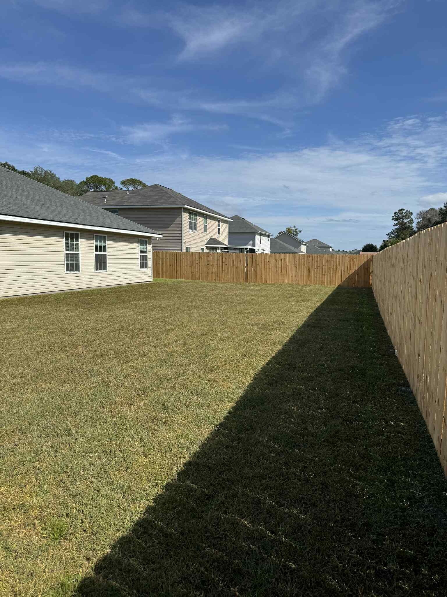 Back yard - 210 Guyett Ave