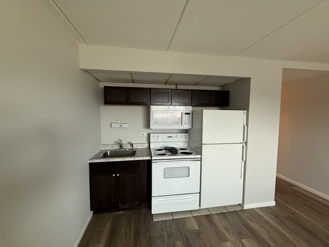 Building Photo - 1128 Des Plaines Ave