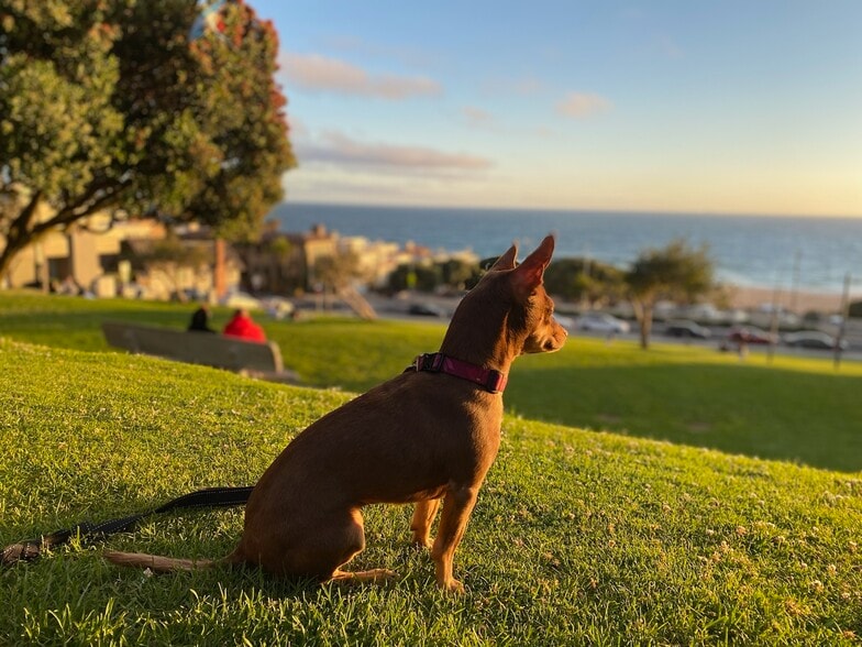 Building Photo - 232 28th St