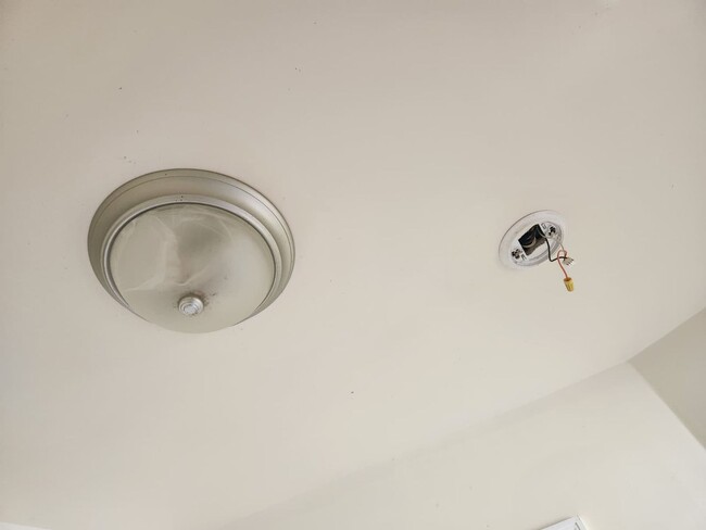 Building Photo - 413-415 N. 6th Avenue