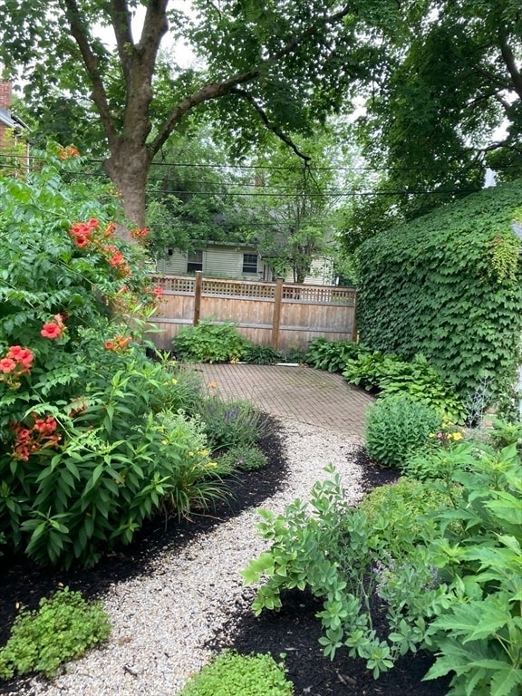 Building Photo - 35 Amherst St