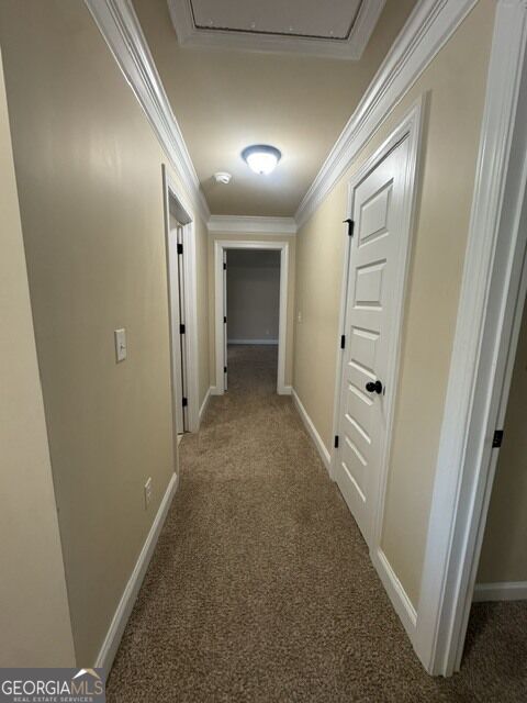 Building Photo - 320 Homestead Cir