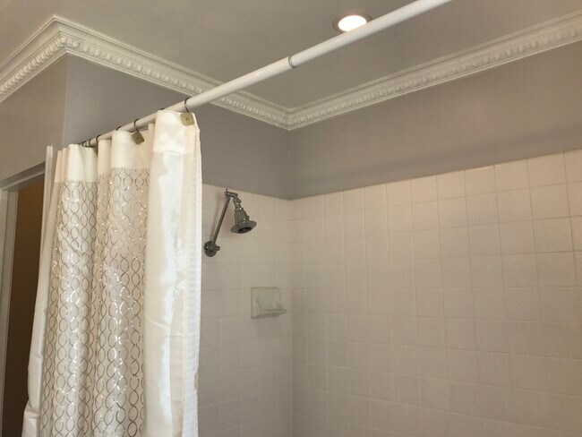 master shower - 25559 Mandarin Ct