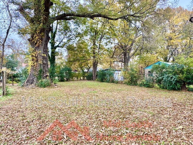 Building Photo - 3592 Vivia Ave