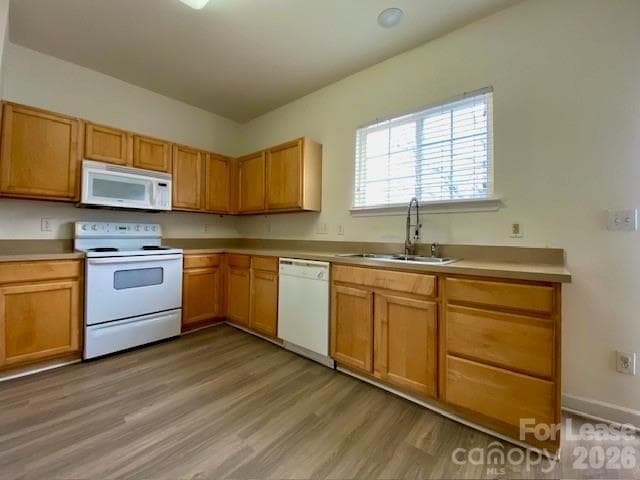 Building Photo - 9224 Aloysia Ln