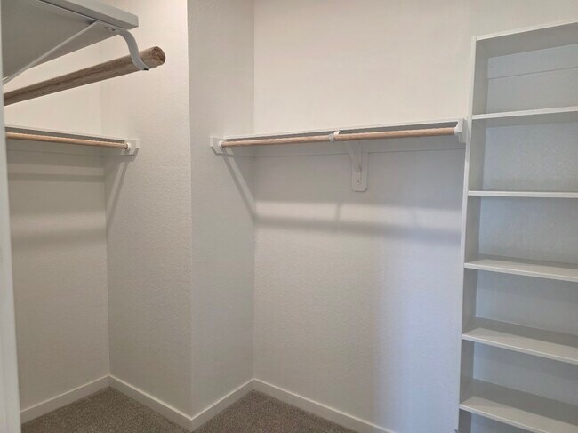 Building Photo - 1743 Magnolia Jade Ct