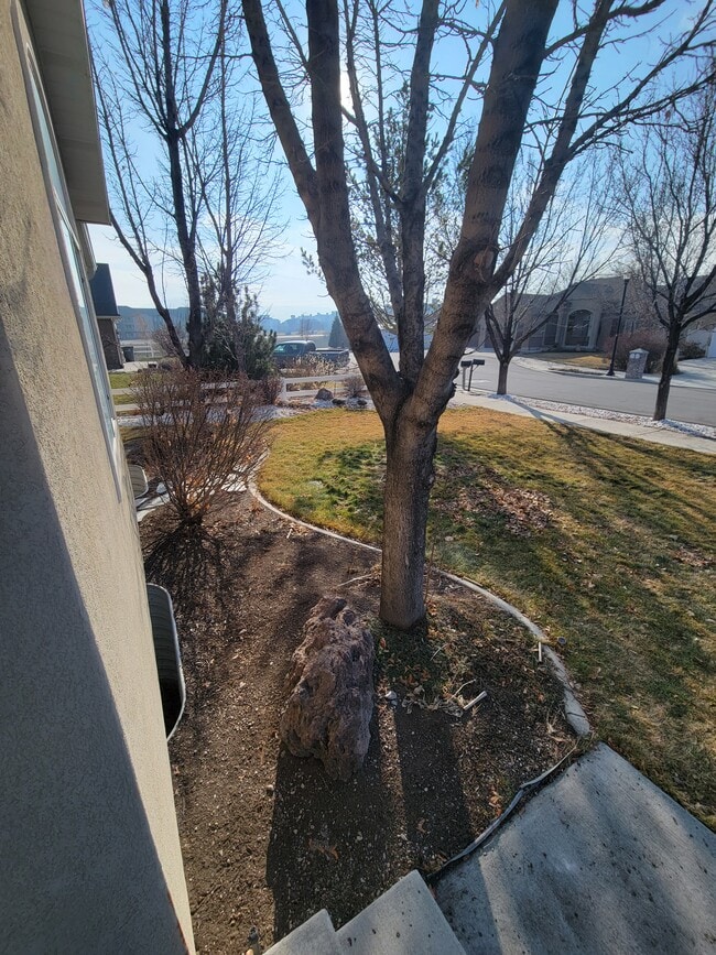 Building Photo - 11729 Gold Stone Dr