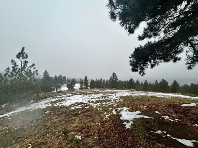 Building Photo - Cozy 1-Bed Cabin on 30 Private Acres – Incredible Views & Outdoor Access