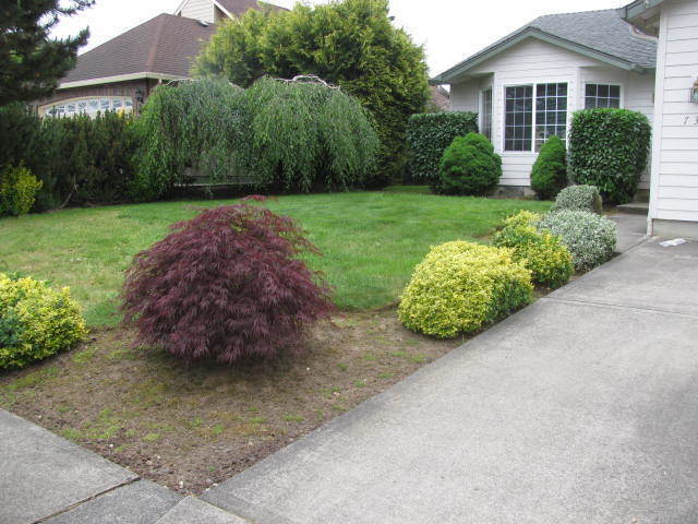 Building Photo - Spacious 3BR Ranch in Desirable La Center Area