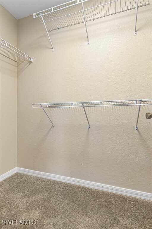 Building Photo - 8340 Silver Birch Way
