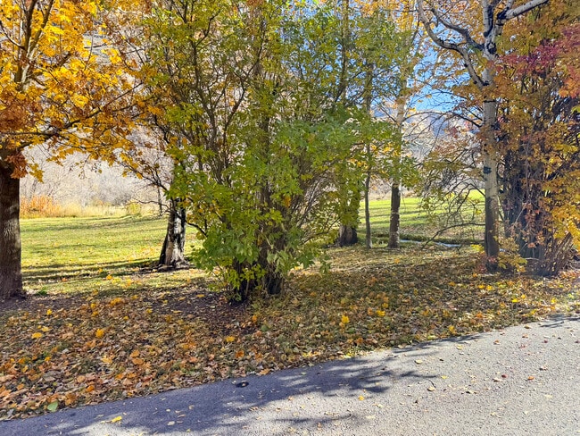 Building Photo - 6071 N Shady Side Dr