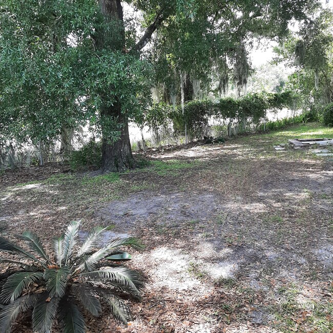 BEAUTIFUL MATURED TREE IN BACK YARD - 906 Hartford Dr