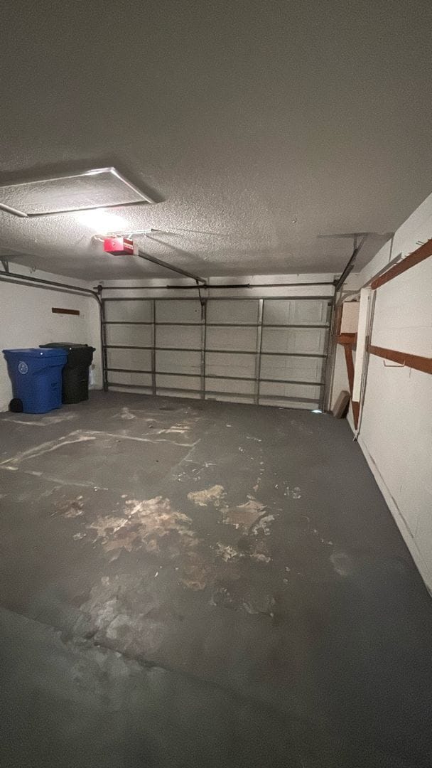 Building Photo - 1019 Brielle Ave