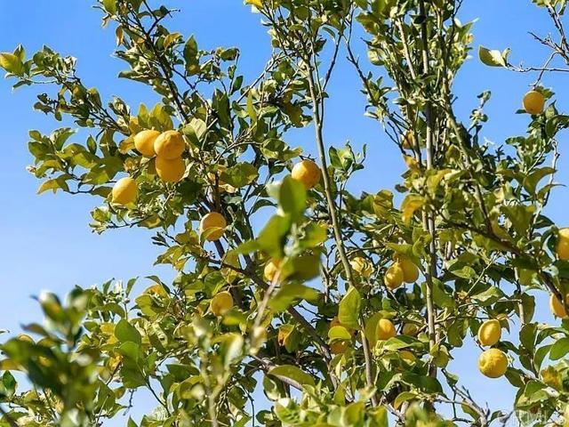 Building Photo - 2090 Quail Meadow Rd