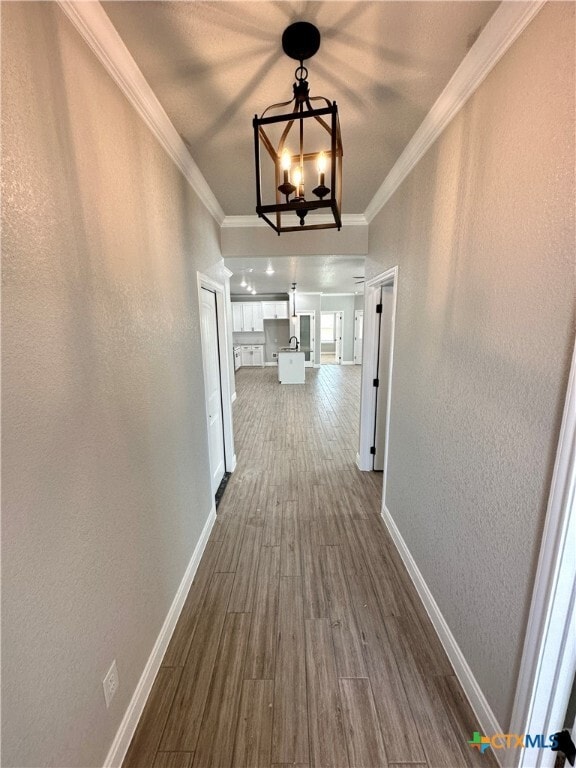 Building Photo - 1611 Sideoats Ln