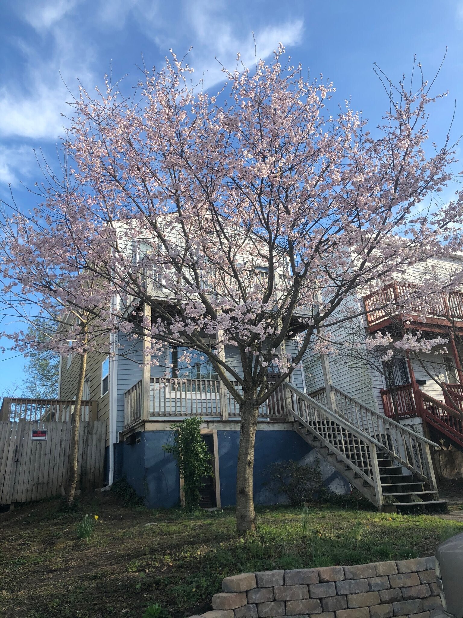 Building Photo - 2418 Perry St