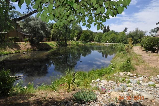 Additional photo of the Pond in Auburn ONE - 13059 Lincoln Way