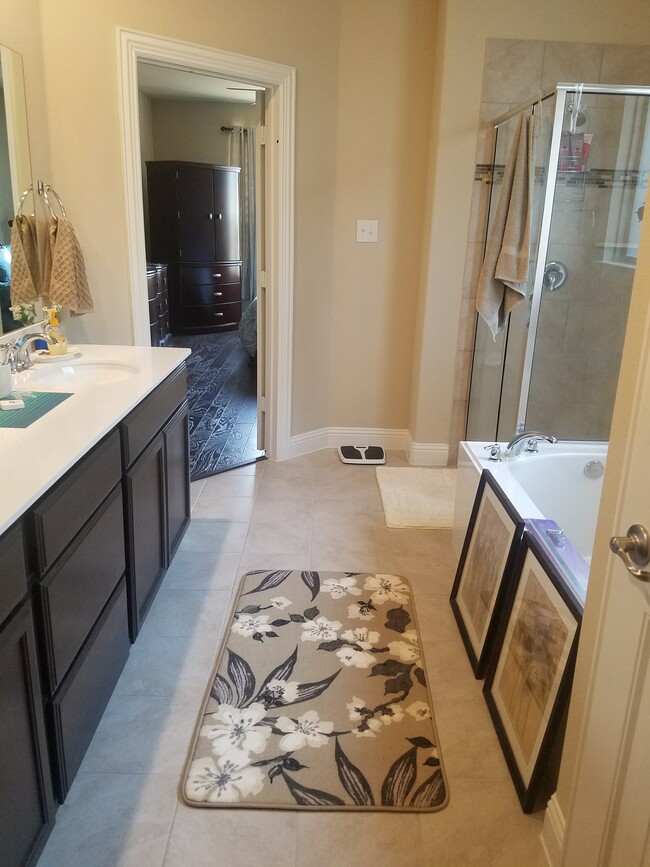 Master full bathroom - 4020 BLESSINGTON DR