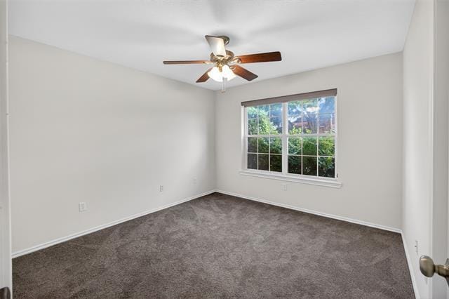 Building Photo - 1009 McCoy Dr