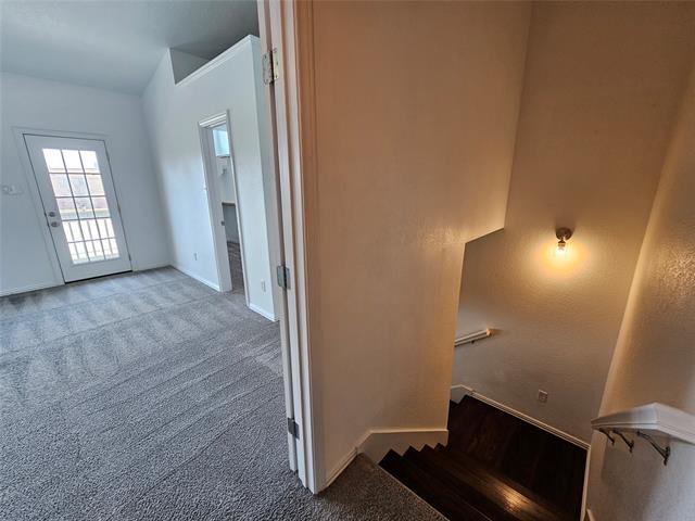 Building Photo - 207 Starr St