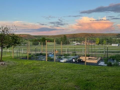 Fenced Garden - 251 Dune Dr