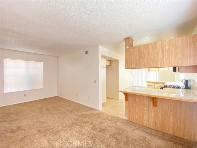 Building Photo - 559 Cherry Vista Dr