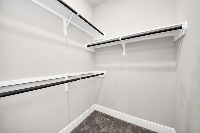 Building Photo - 10719 Lacaille Ln