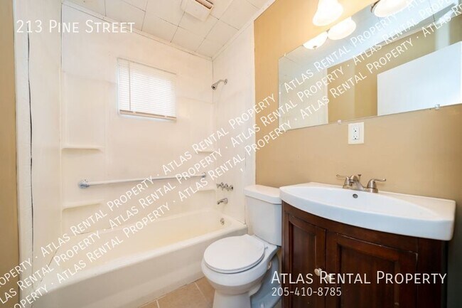 Building Photo - 213 Pine St