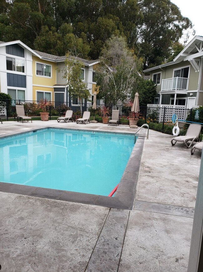 Building Photo - 2Bd/1Ba Clean Condo near Sunny Cove! ( Co-signors now accepted!)