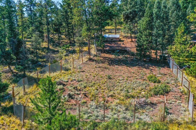 Building Photo - Backcountry Living