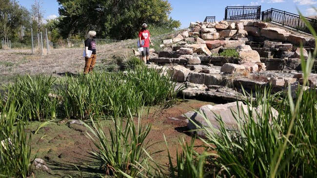 Water shed project on Jordan Trail - 918 n Cornell st