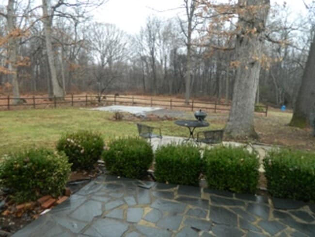 Building Photo - Spacious Ranch House off Old Forest Road