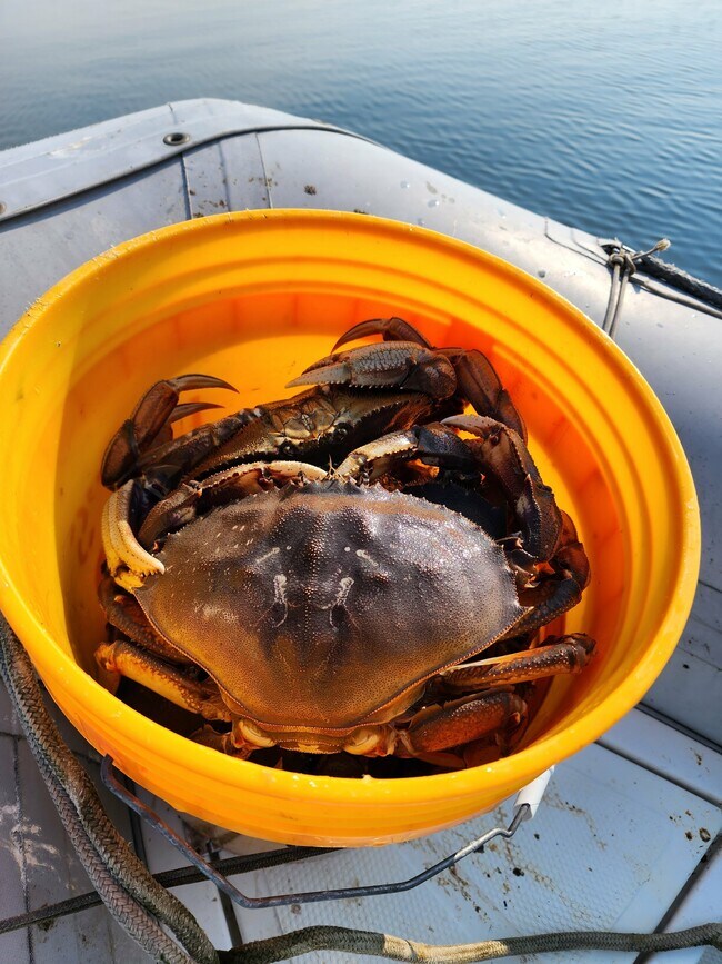 Building Photo - 19118 Soundview Dr NW