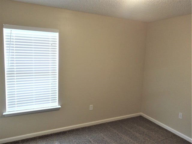 Building Photo - 8373 Swanton Ln