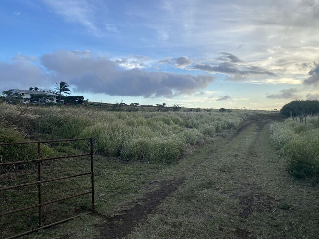 Building Photo - Expansive Ocean View & Quiet Country Livin...