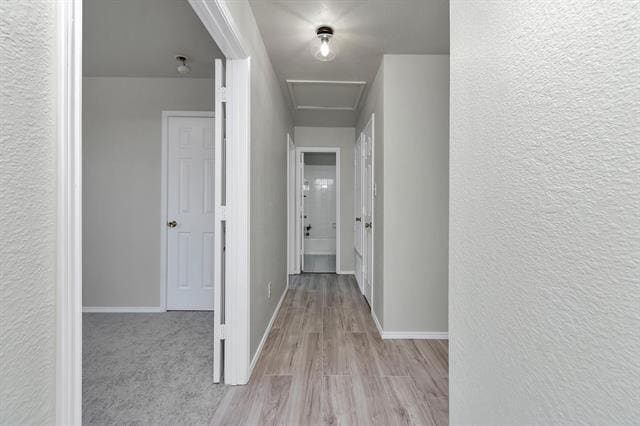 Building Photo - 1037 Triple Crown Dr