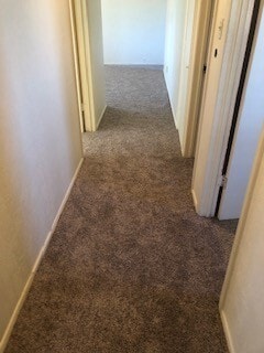 Building Photo - HOME NEAR UNIVERSITY NEW CARPET