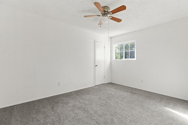 Building Photo - 600 Pin Tail Ln