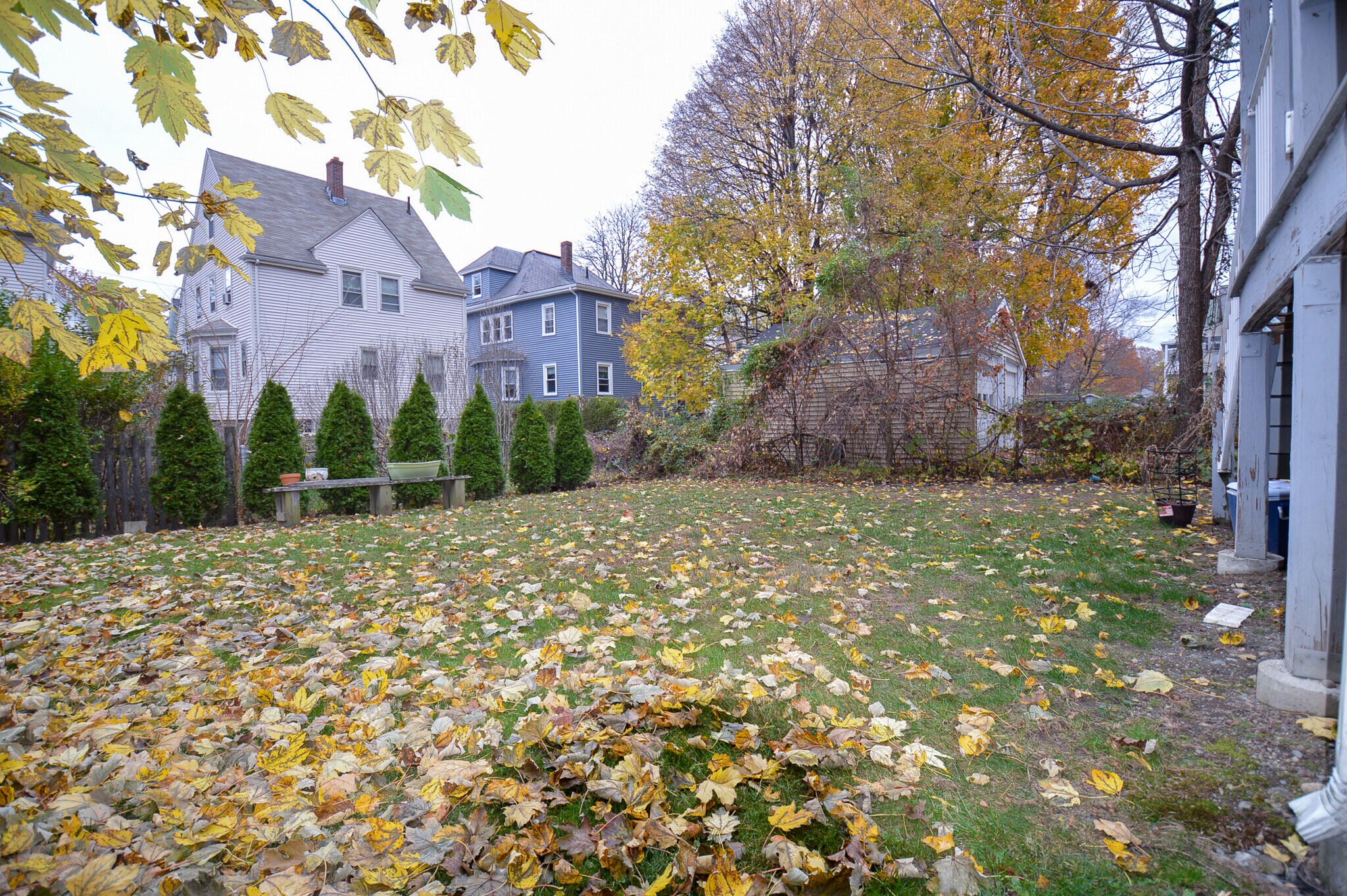 Backyard - 58 Turner St