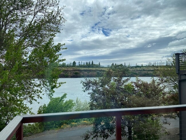 Building Photo - Fully Furnished 2 Bedroom 1 Bath Condo | T...